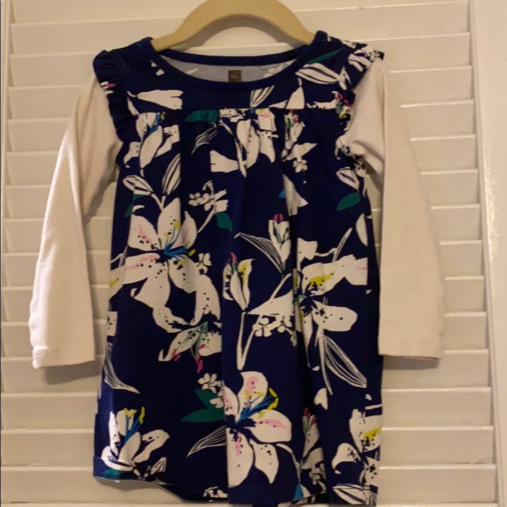 Tea long sleeved dress, size 2T